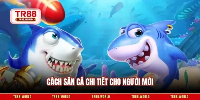 Cách săn cá chi tiết cho người mới